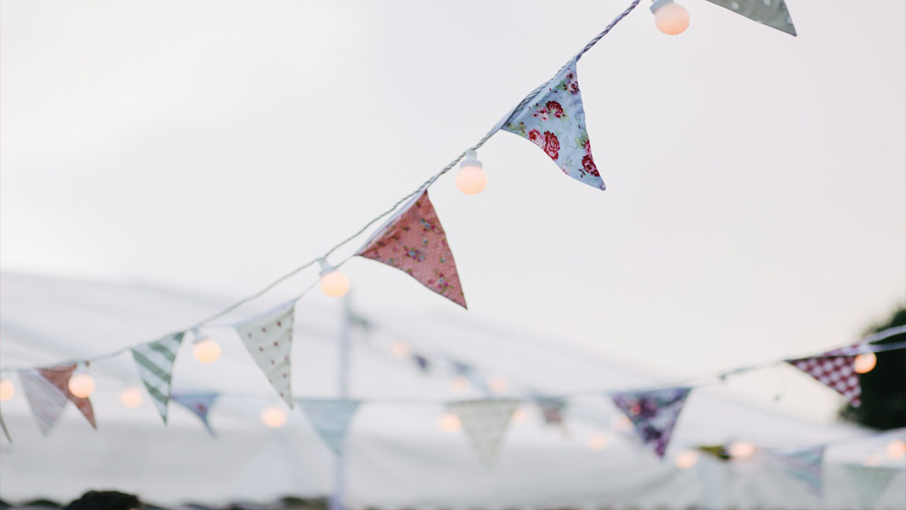 bunting2